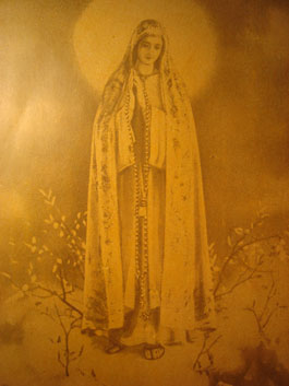 Our Lady of Fatima Book 5