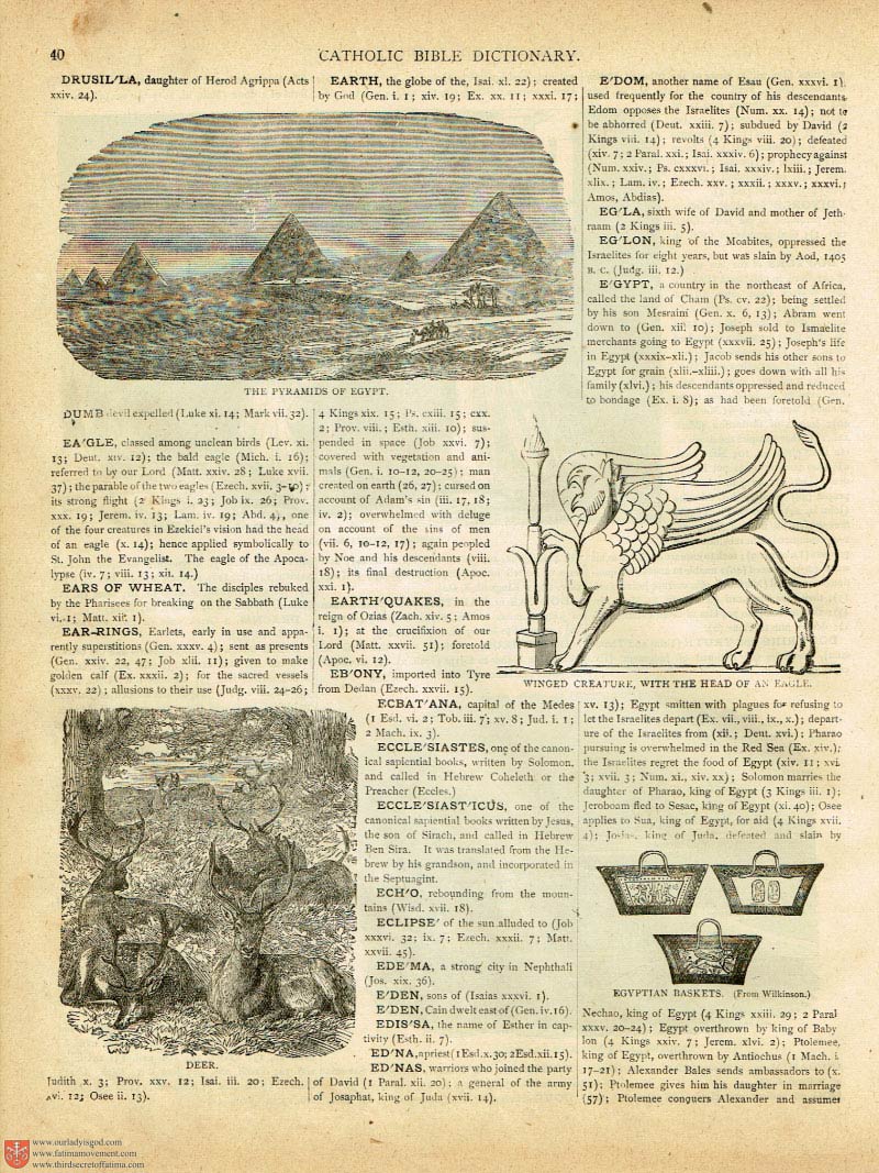 The Haydock Douay Rheims Bible page 0165