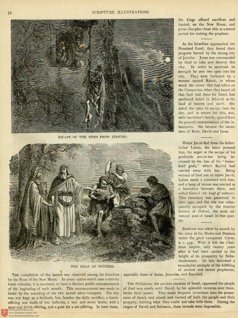 The Haydock Douay Rheims Bible page 0271