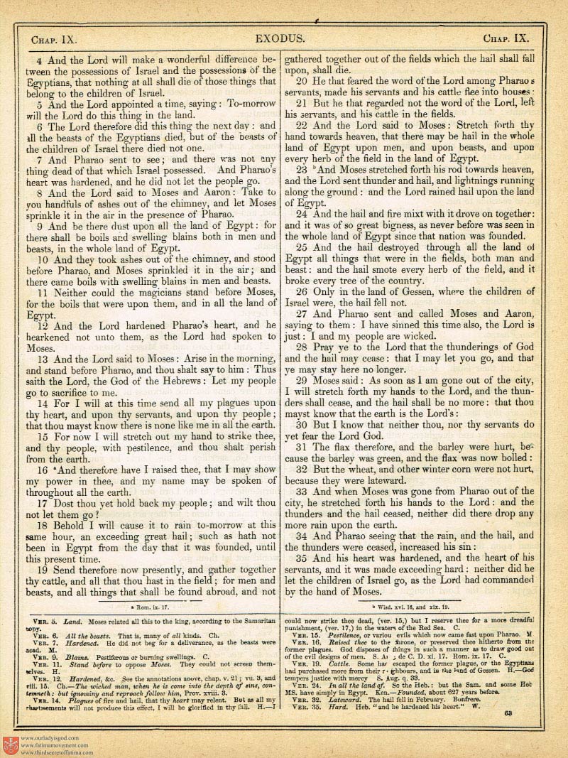 The Haydock Douay Rheims Bible page 0382