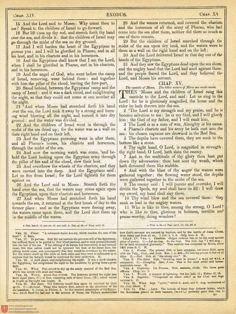 The Haydock Douay Rheims Bible page 0388