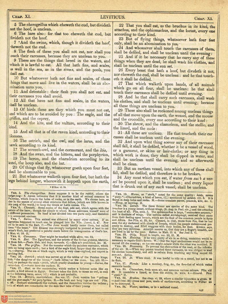 The Haydock Douay Rheims Bible page 0434