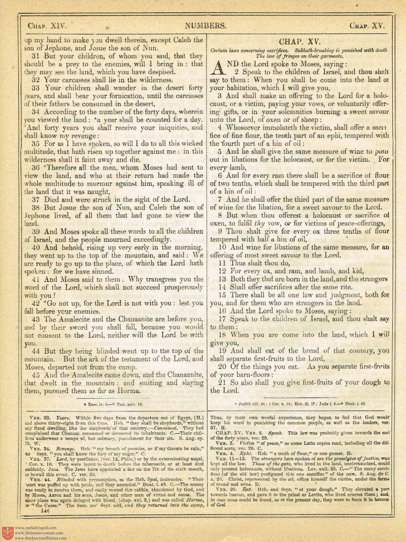 The Haydock Douay Rheims Bible page 0471