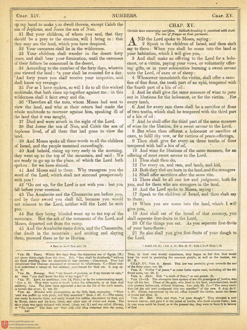 The Haydock Douay Rheims Bible page 0473