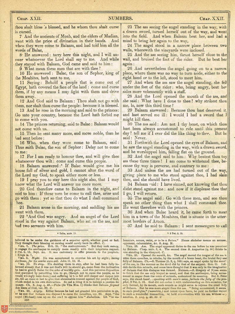 The Haydock Douay Rheims Bible page 0483