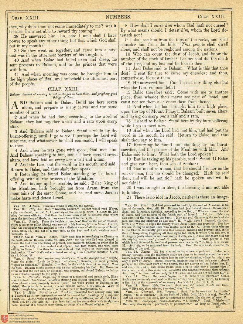 The Haydock Douay Rheims Bible page 0484