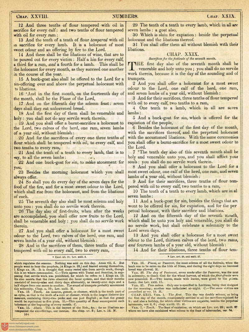 The Haydock Douay Rheims Bible page 0491