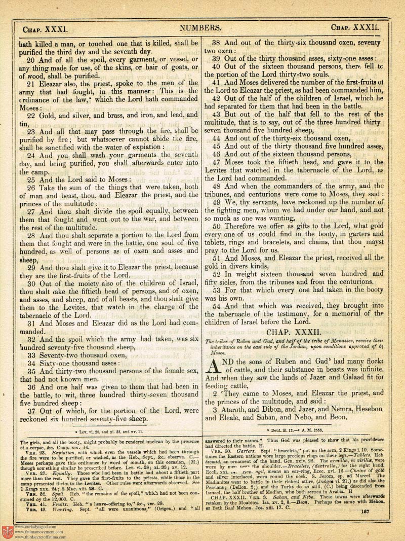 The Haydock Douay Rheims Bible page 0494