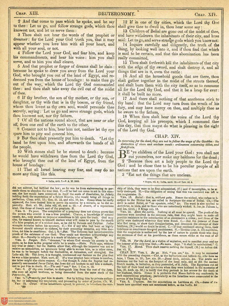 The Haydock Douay Rheims Bible page 0517
