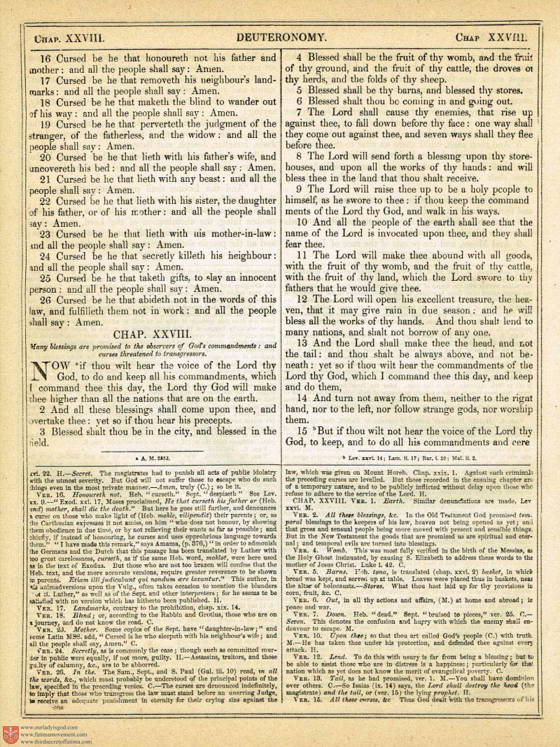The Haydock Douay Rheims Bible page 0535