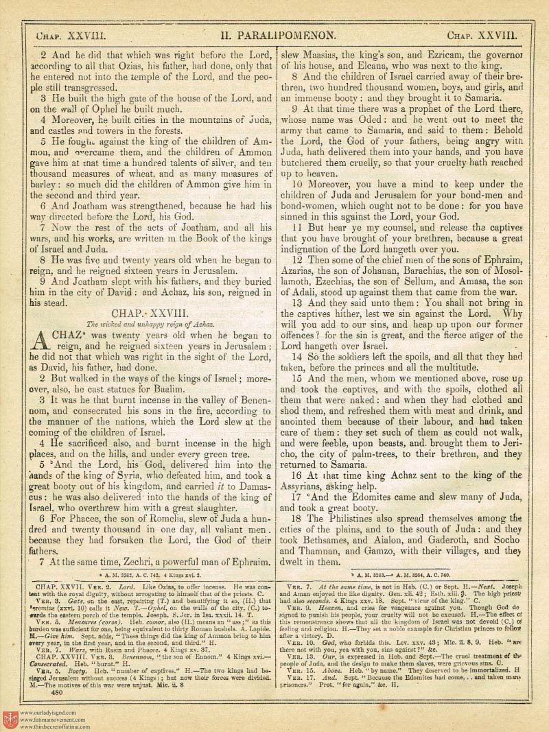 The Haydock Douay Rheims Bible page 0815