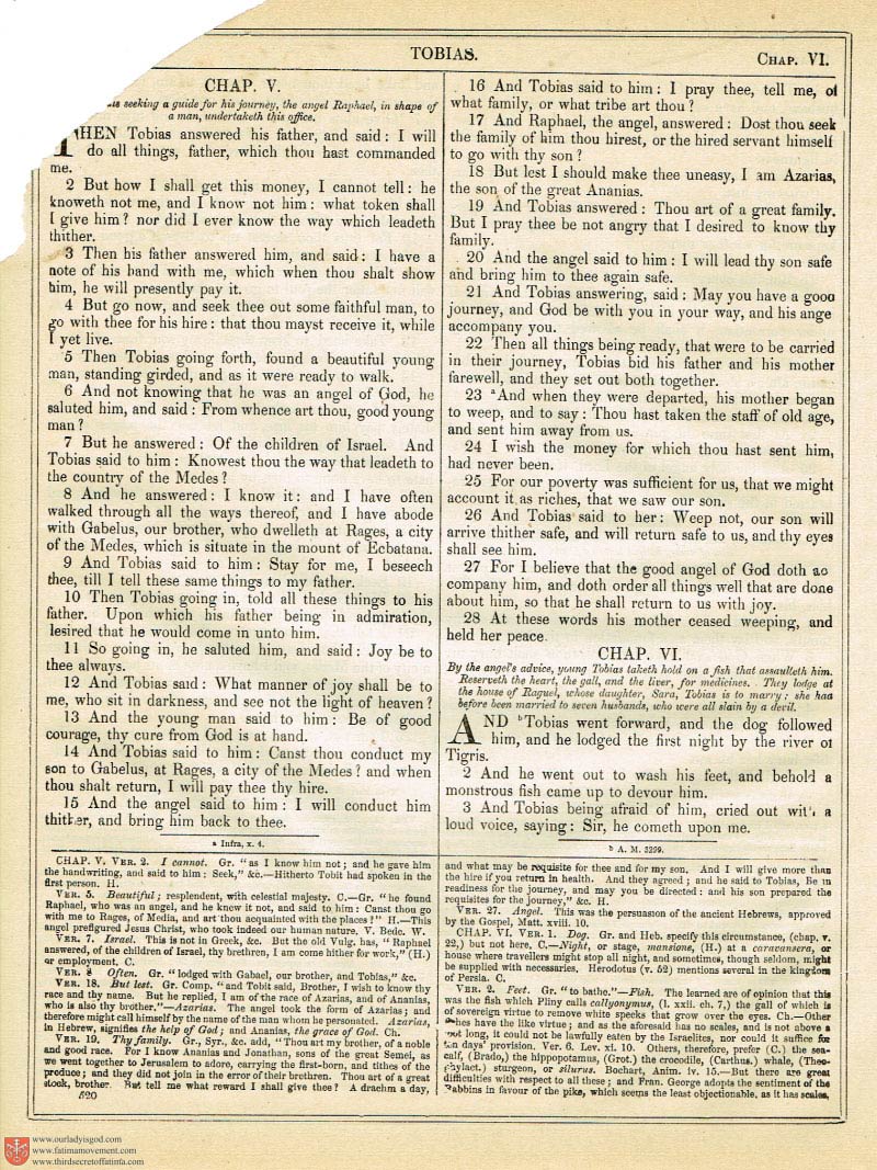 The Haydock Douay Rheims Bible page 0855