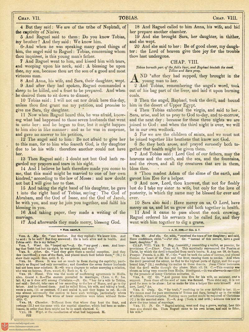 The Haydock Douay Rheims Bible page 0857