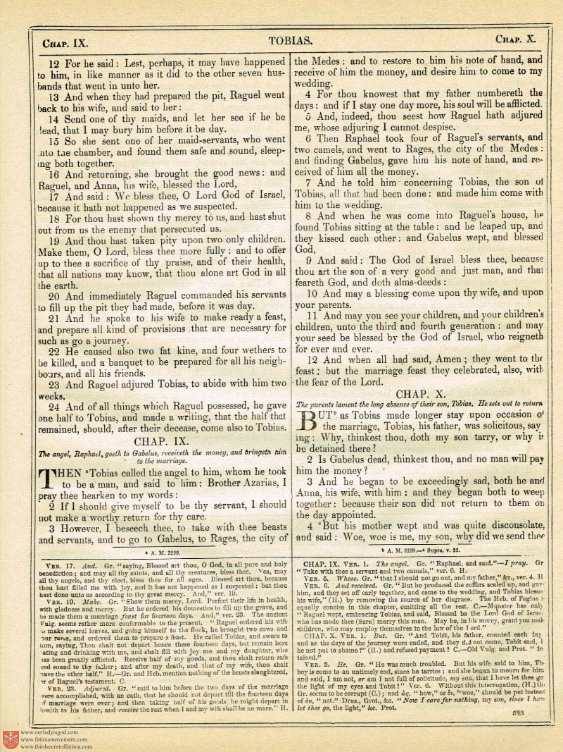 The Haydock Douay Rheims Bible page 0858