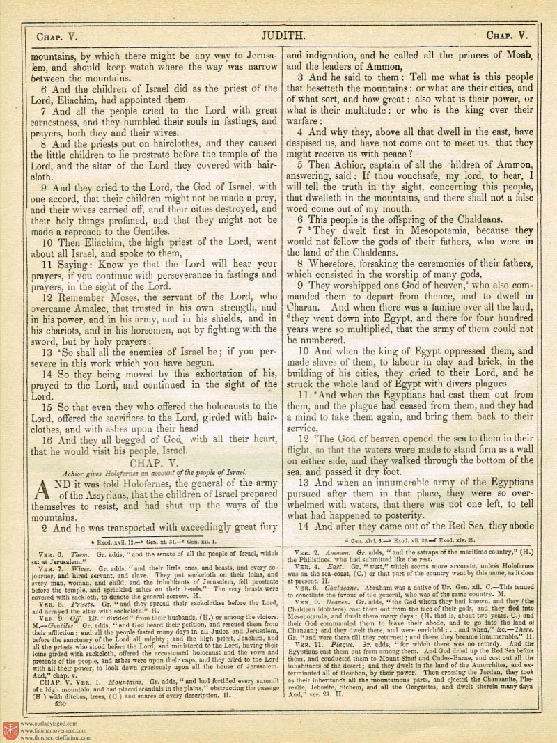 The Haydock Douay Rheims Bible page 0865