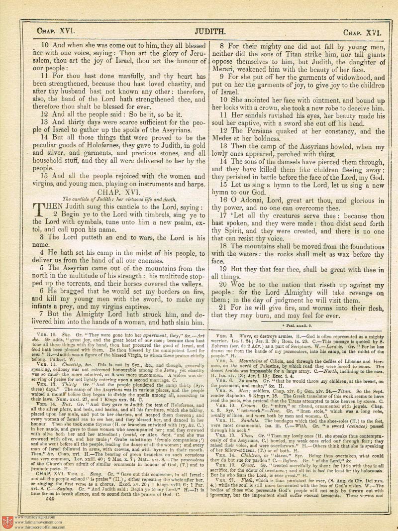 The Haydock Douay Rheims Bible page 0875