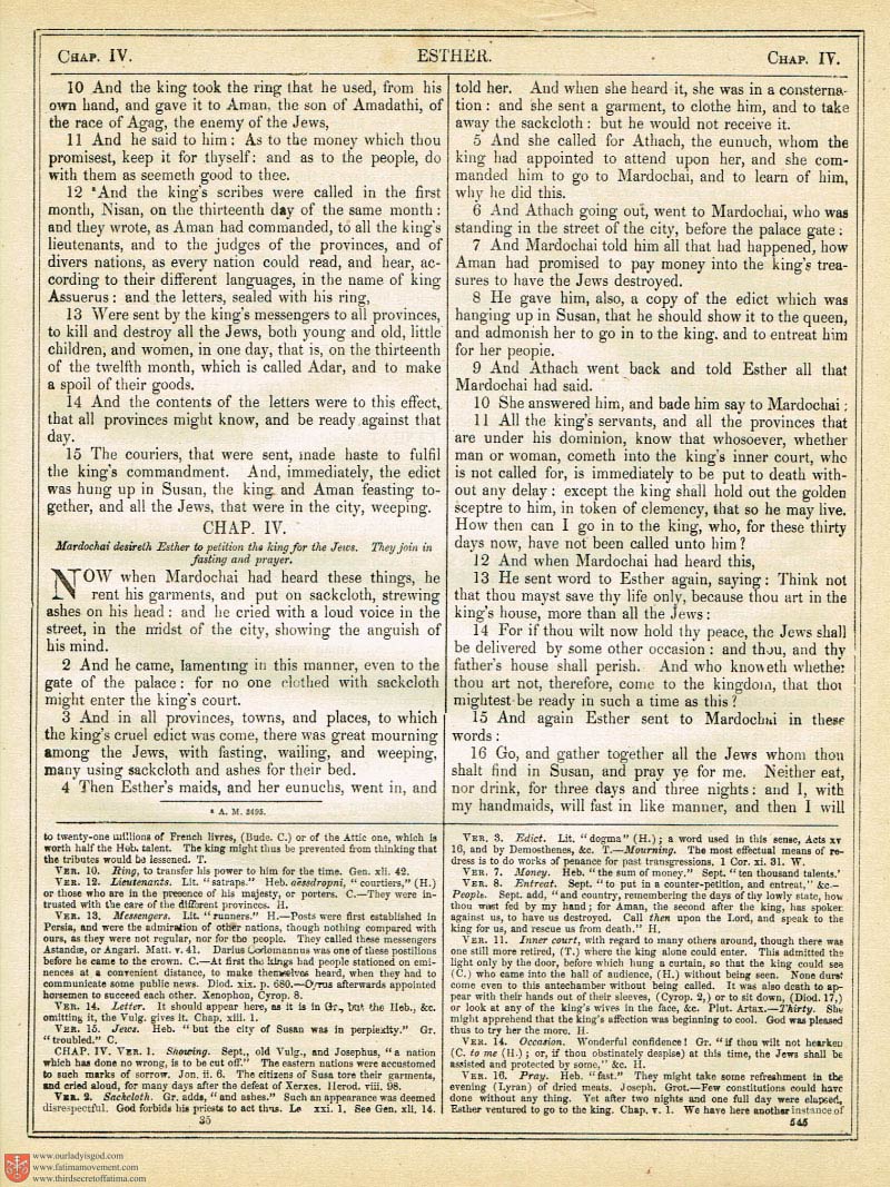 The Haydock Douay Rheims Bible page 0880