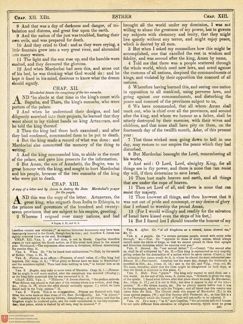 The Haydock Douay Rheims Bible page 0886