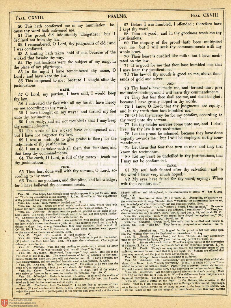 The Haydock Douay Rheims Bible page 1010