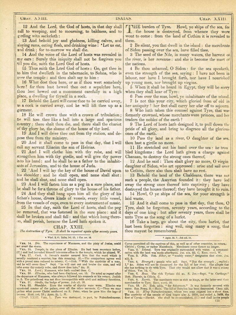 The Haydock Douay Rheims Bible page 1139