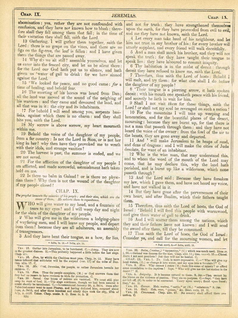 The Haydock Douay Rheims Bible page 1180