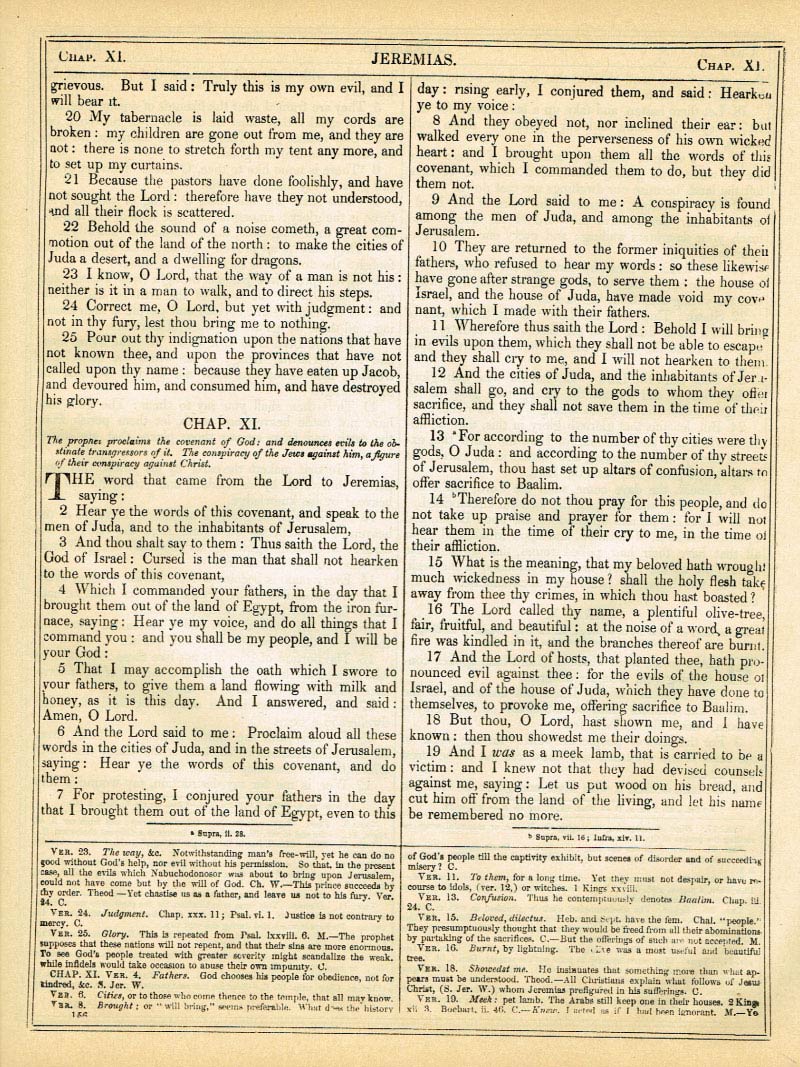 The Haydock Douay Rheims Bible page 1182