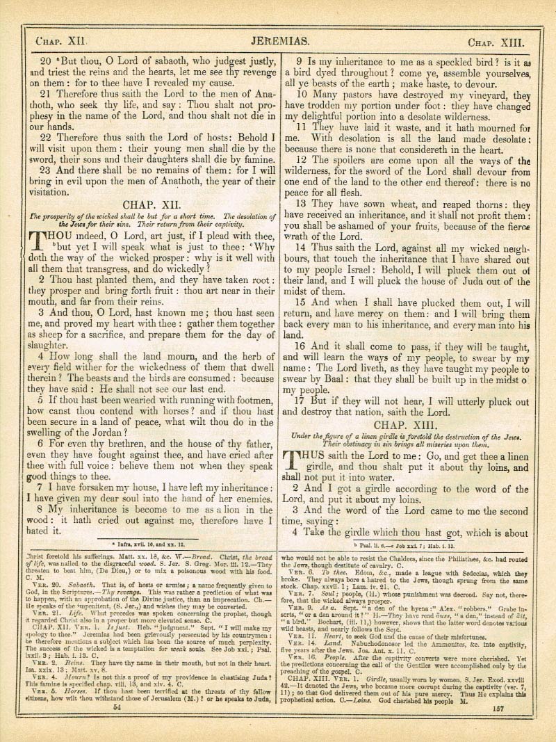The Haydock Douay Rheims Bible page 1183