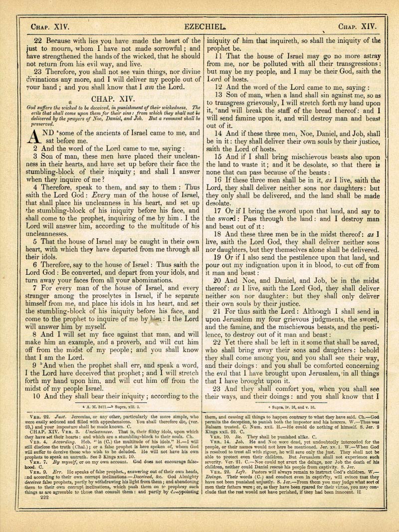 The Haydock Douay Rheims Bible page 1248