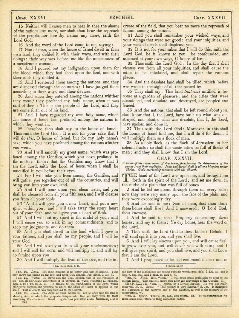 The Haydock Douay Rheims Bible page 1272