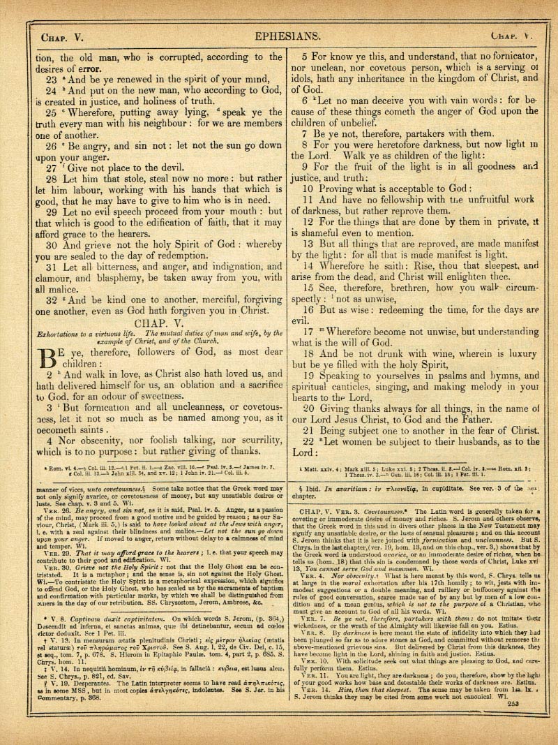 The Haydock Douay Rheims Bible page 1785