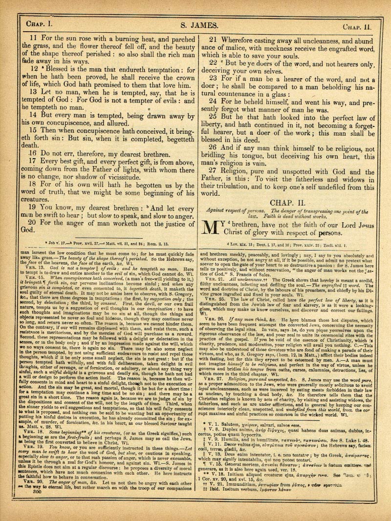 The Haydock Douay Rheims Bible page 1832