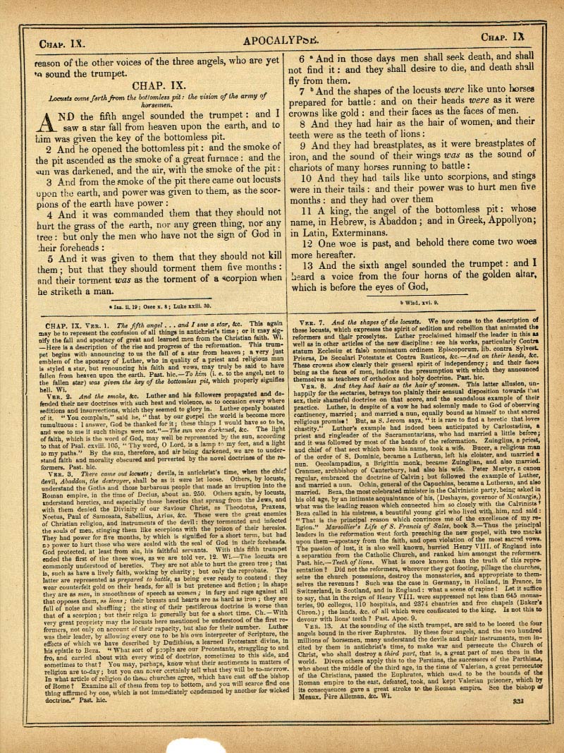 The Haydock Douay Rheims Bible page 1863