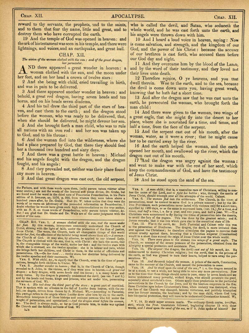 The Haydock Douay Rheims Bible page 1866