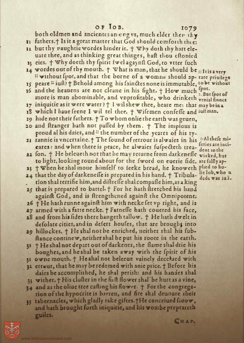 Original Douay Rheims Catholic Bible scan 1099
