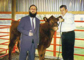 The red calf of modern day Jews